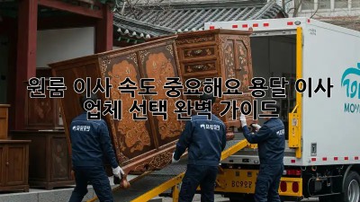 원룸 이사, 속도 중요해요! 용달 이사 업체 선택 완벽 가이드