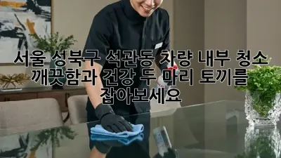 서울 성북구 석관동 차량 내부 청소 : 깨끗함과 건강, 두 마리 토끼를 잡아보세요!